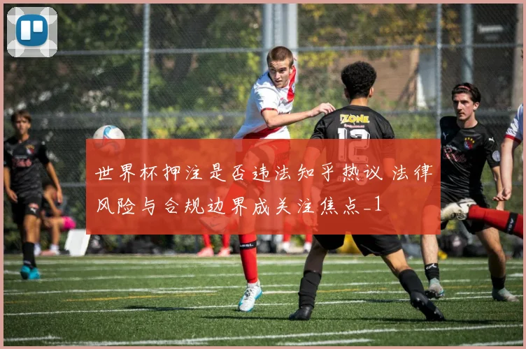 世界杯押注是否违法知乎热议 法律风险与合规边界成关注焦点_1