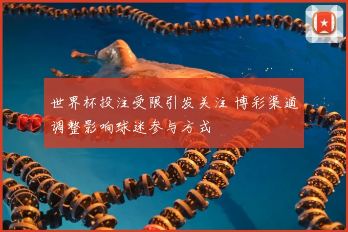 世界杯投注受限引发关注 博彩渠道调整影响球迷参与方式