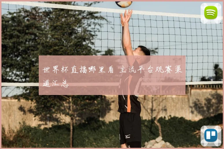 世界杯直播哪里看 主流平台观赛渠道汇总